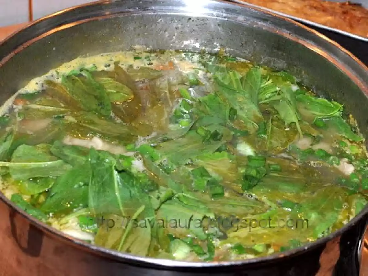 Ciorba de miel - poza 8