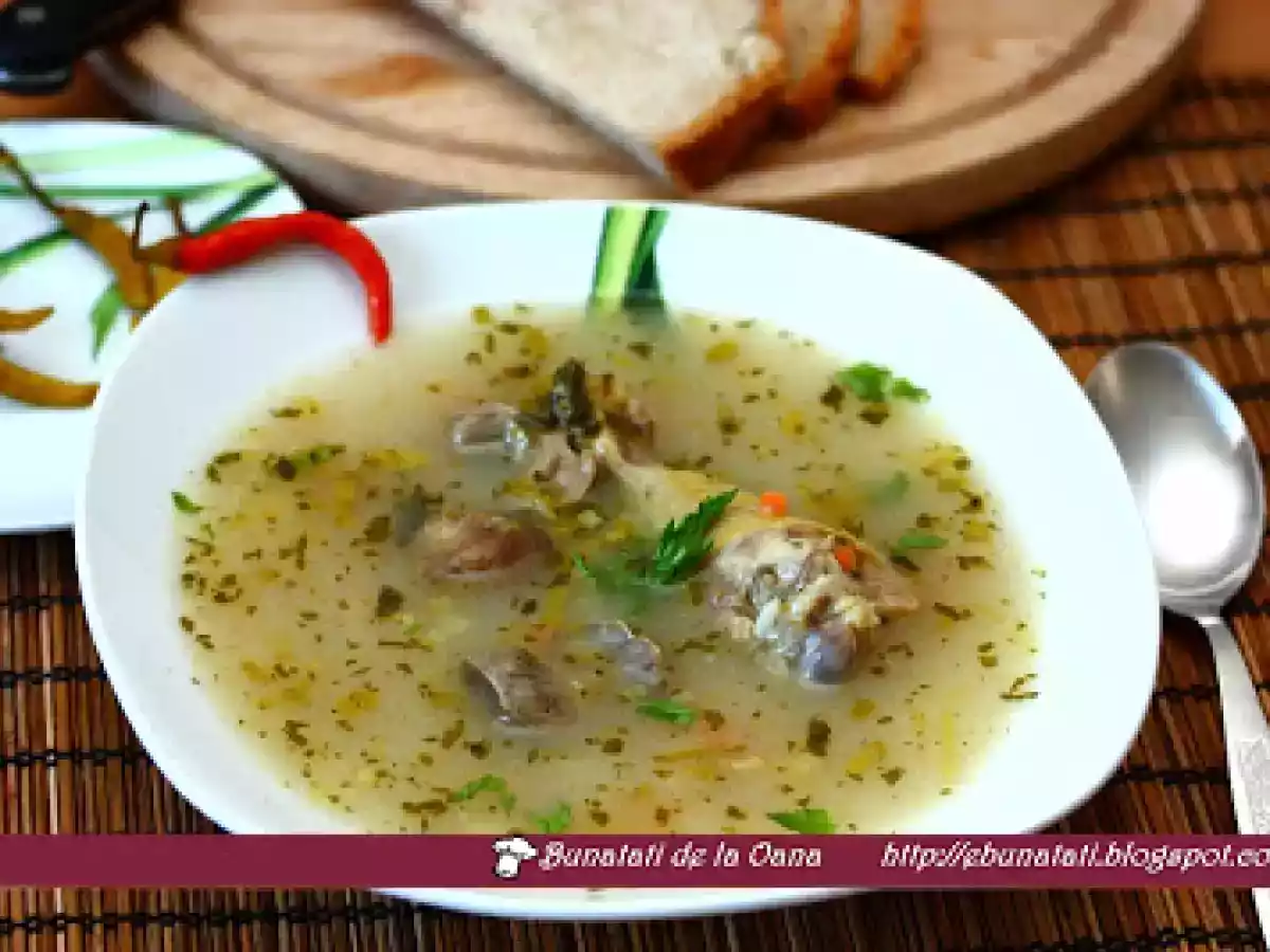 Ciorba de potroace - poza 2