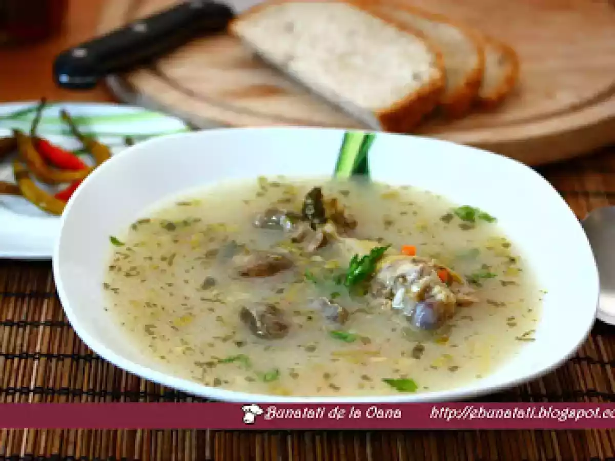 Ciorba de potroace - poza 3