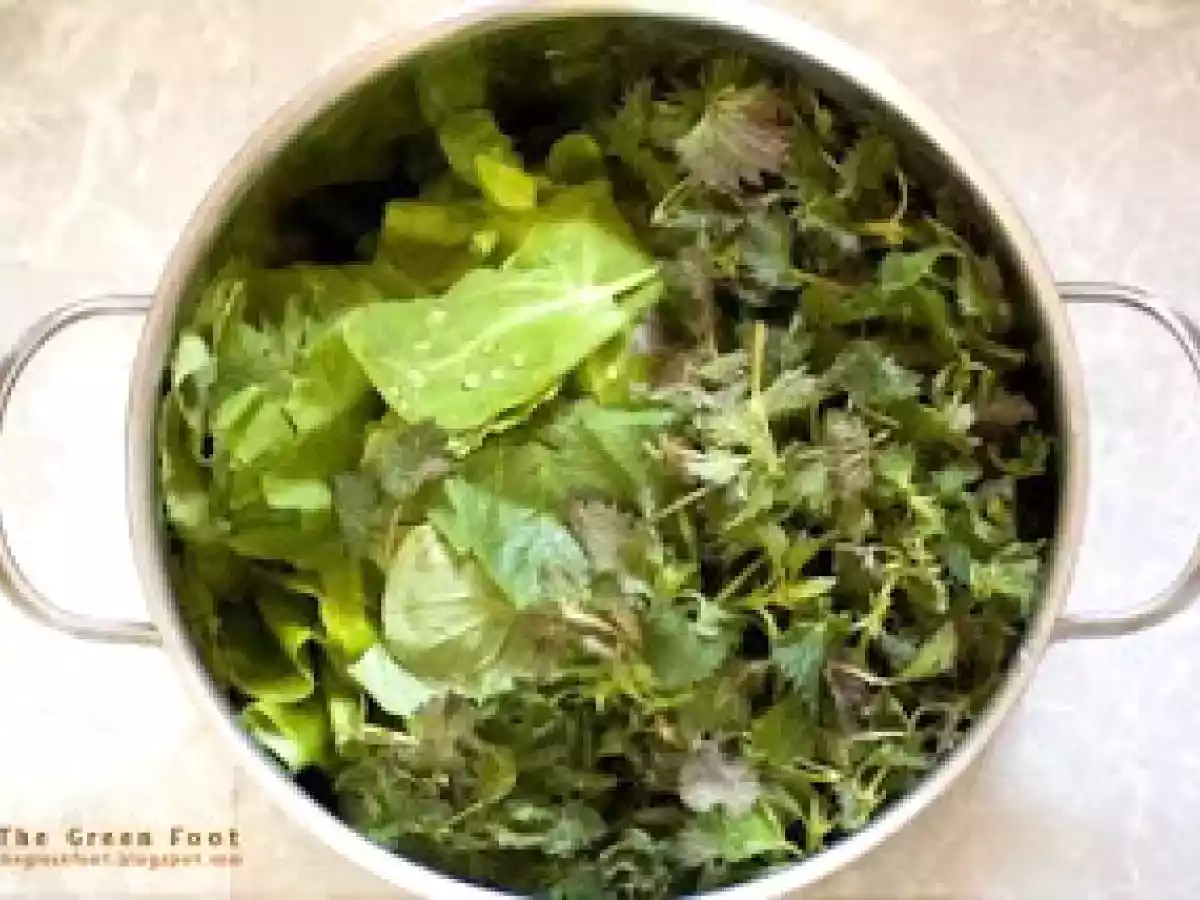 Ciorba de primavara - poza 2