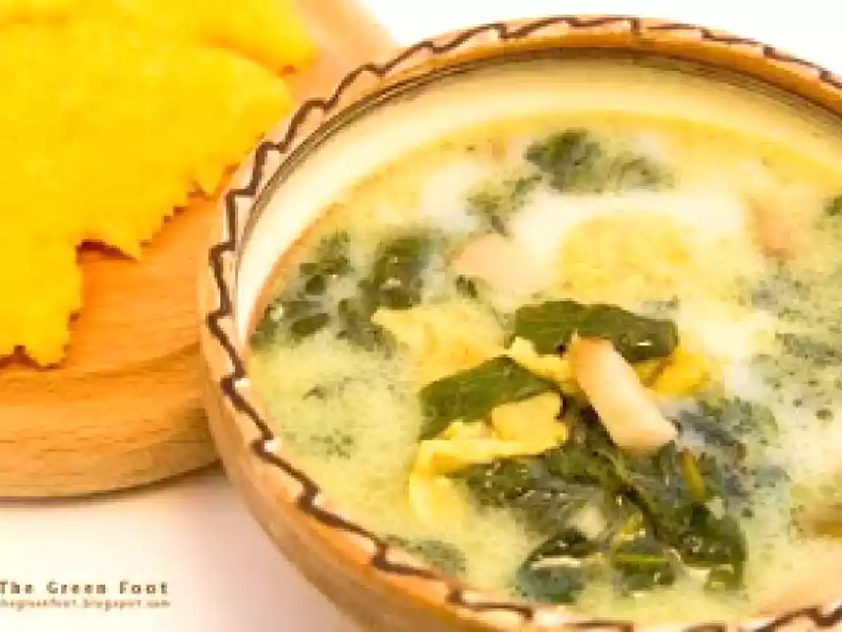 Ciorba de primavara - poza 3