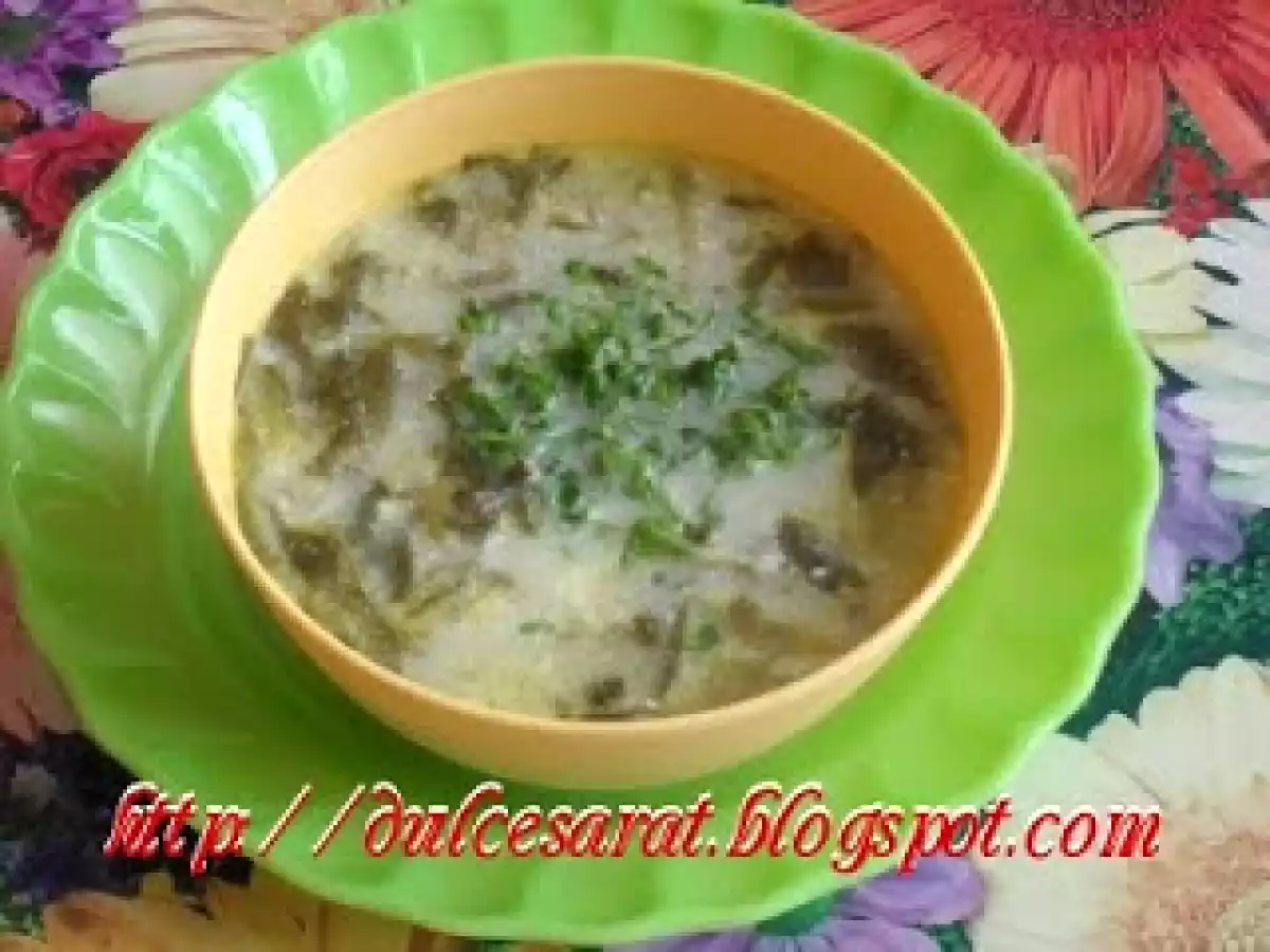 Ciorba de spanac aromata cu patrunjel verde - poza 2