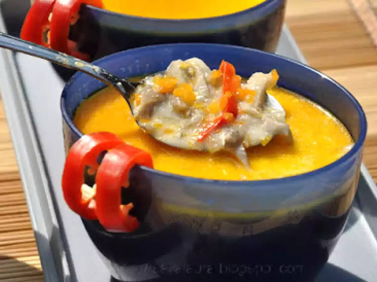 Ciorba falsa de burta - poza 2