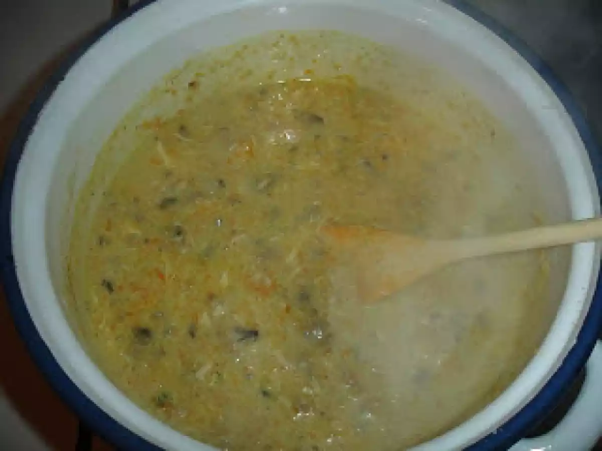 Ciulama de Ciuperci si Pui - poza 4