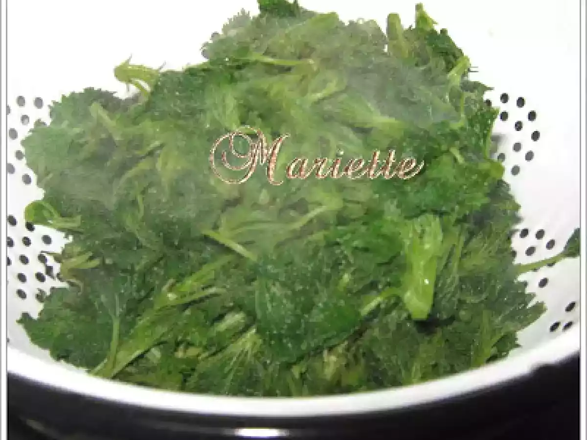 Ciulama de urzici - poza 3