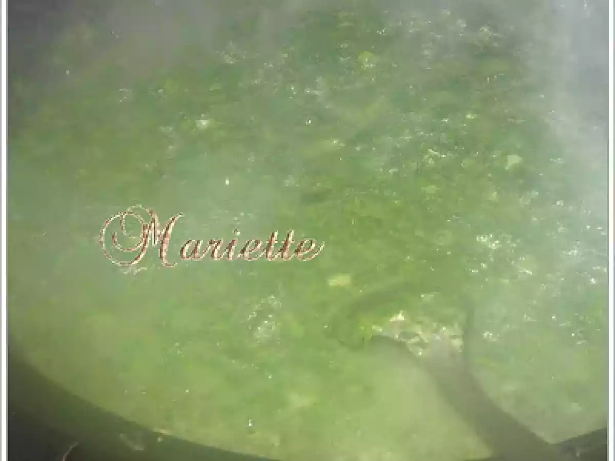 Ciulama de urzici - poza 8