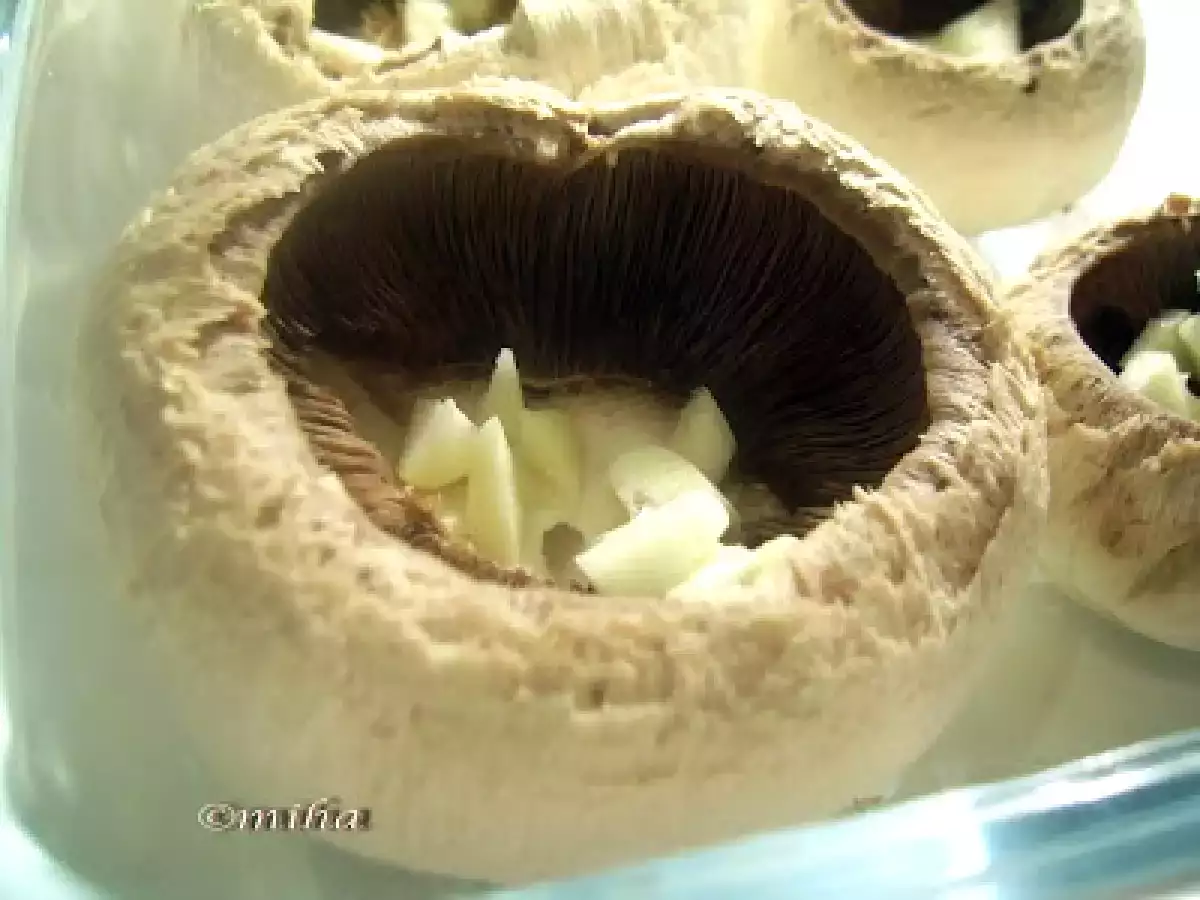 Ciuperci boieresti - poza 2