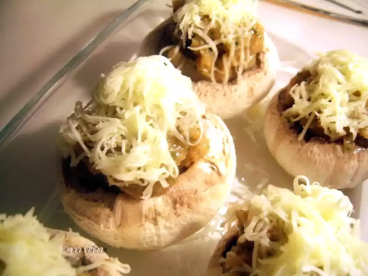 Ciuperci boieresti - poza 3