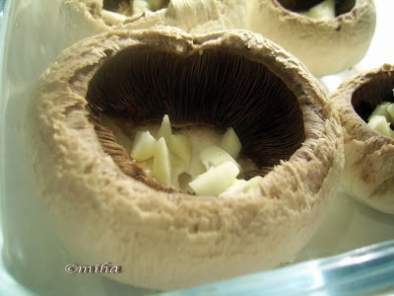 Ciuperci boieresti - poza 2