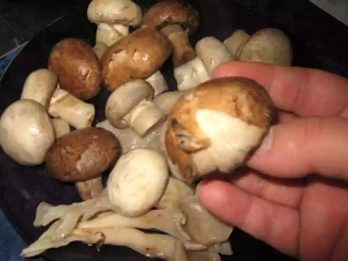 Ciuperci cu maioneza - poza 6