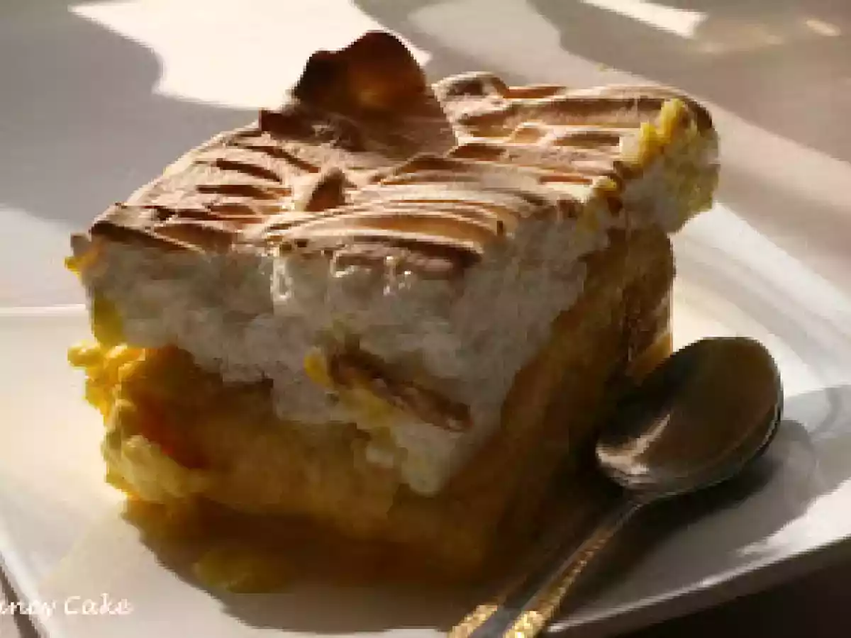 Clatite Banatene - poza 2