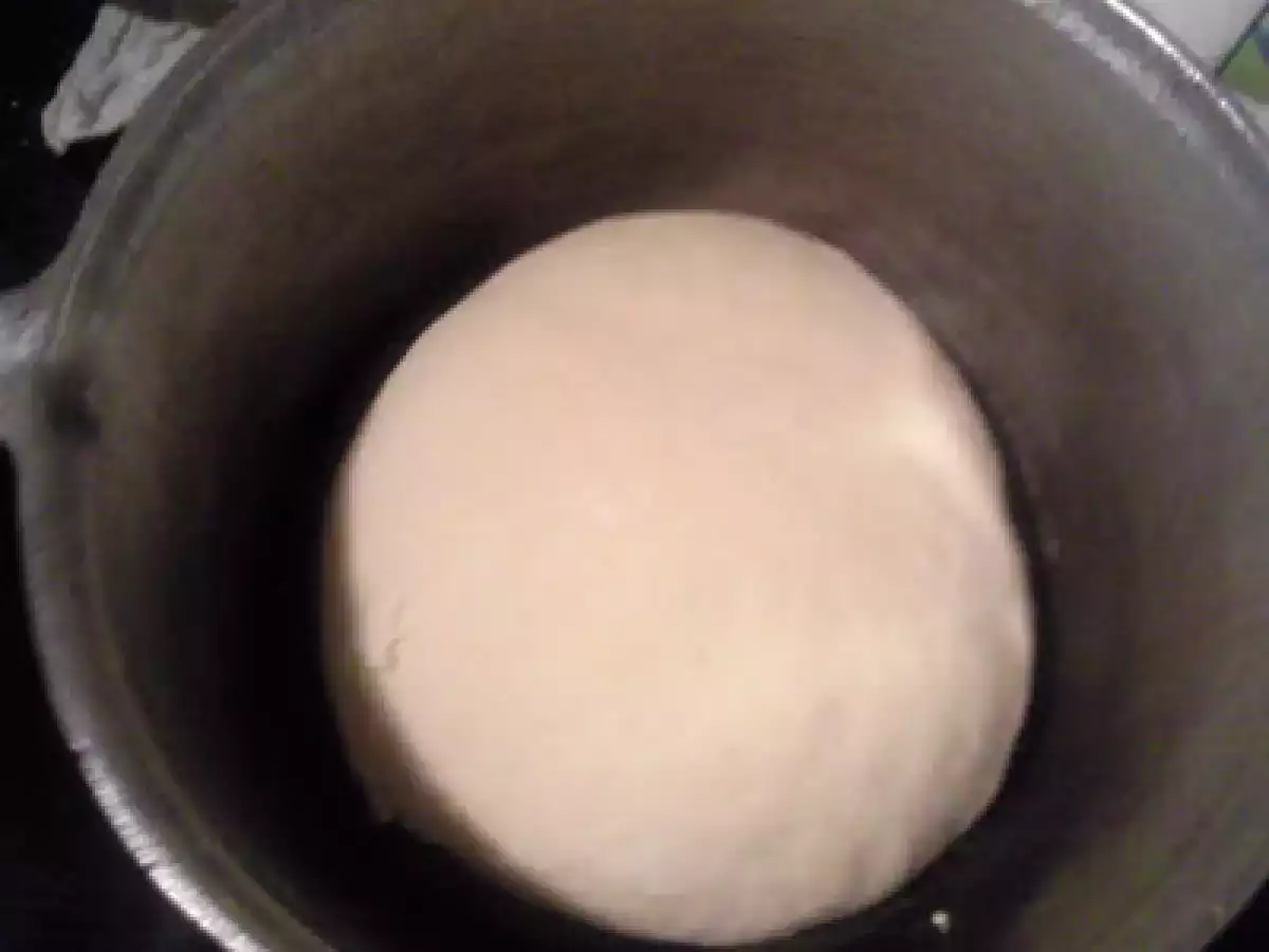 COCOACE PE PLITA - poza 2