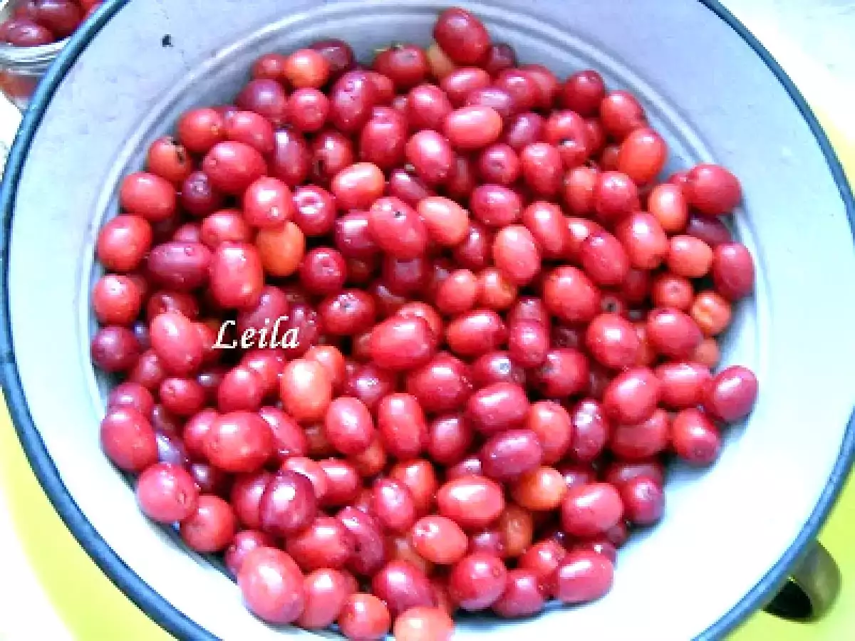 Compot de coarne - Som Befott - poza 4