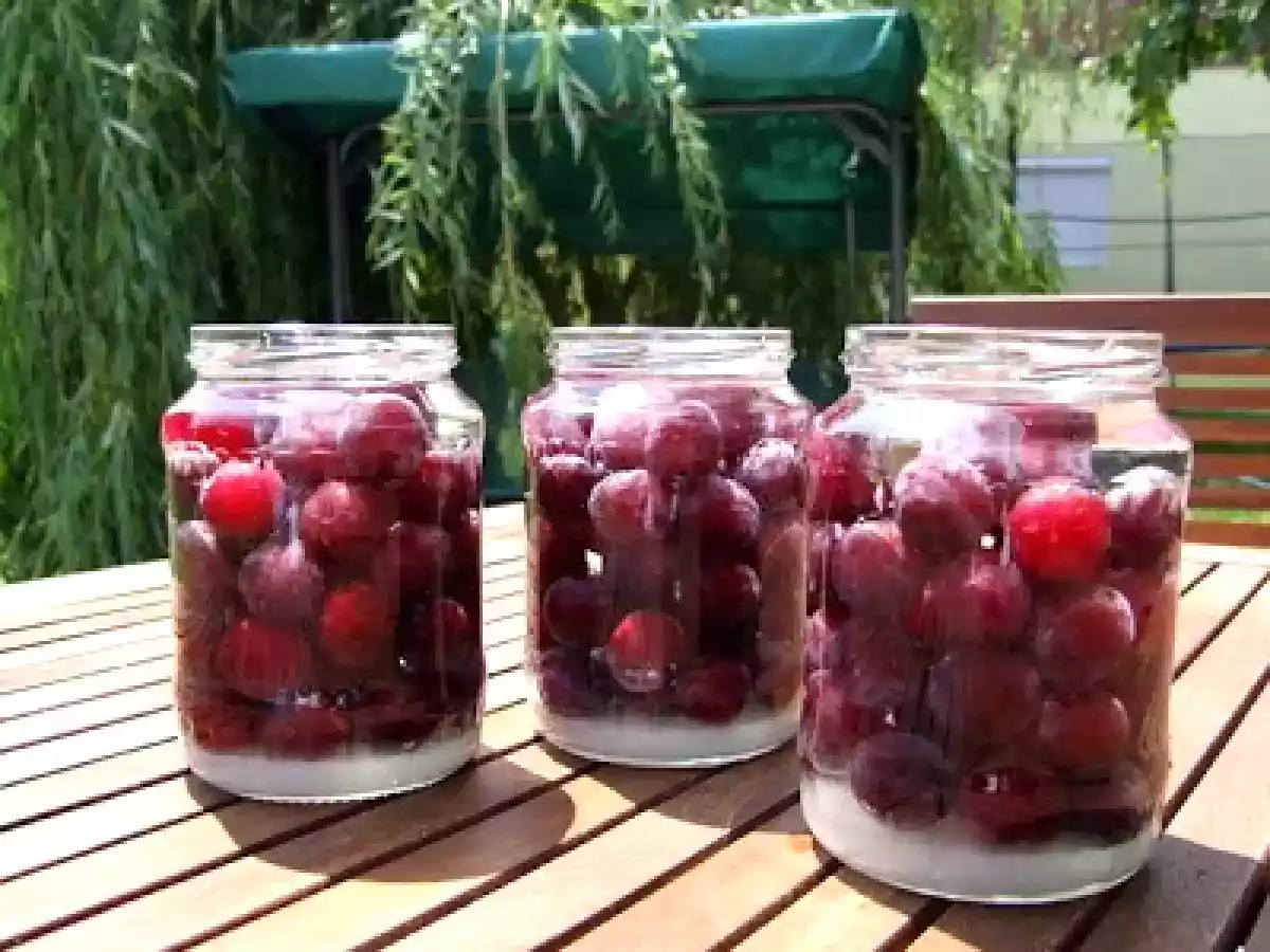 Compot de corcoduse rosii - poza 2