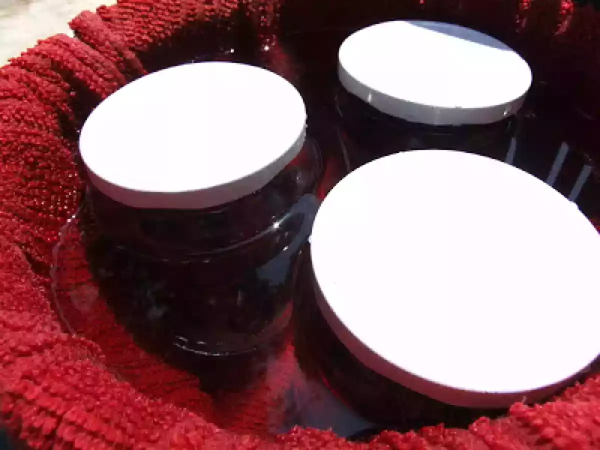 Compot de corcoduse rosii - poza 4