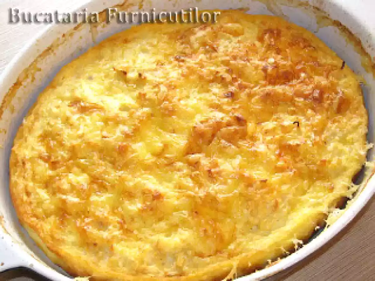 Conopida Gratinata - poza 3