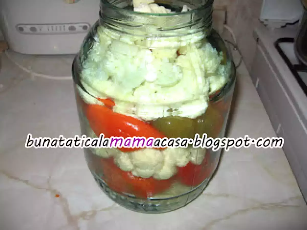 Conopida si gogosari in otet - poza 2