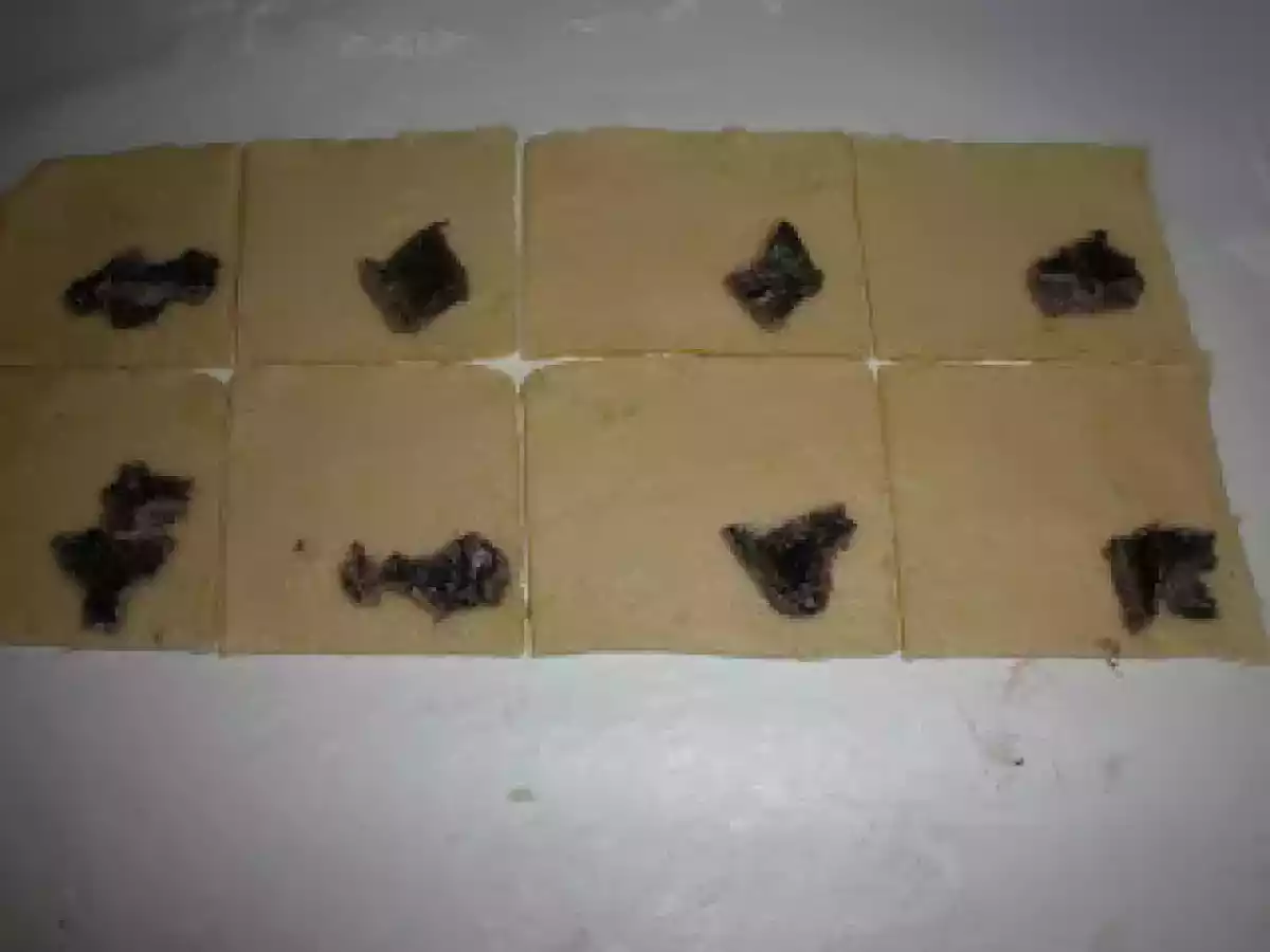 CORNULETE FRAGEDE - poza 6