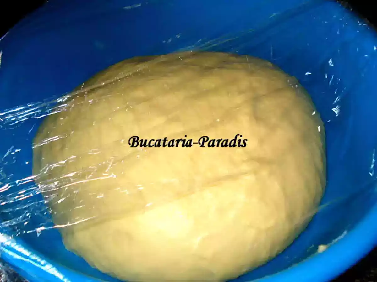 CORNULETE IN DOUA CULORI - poza 6