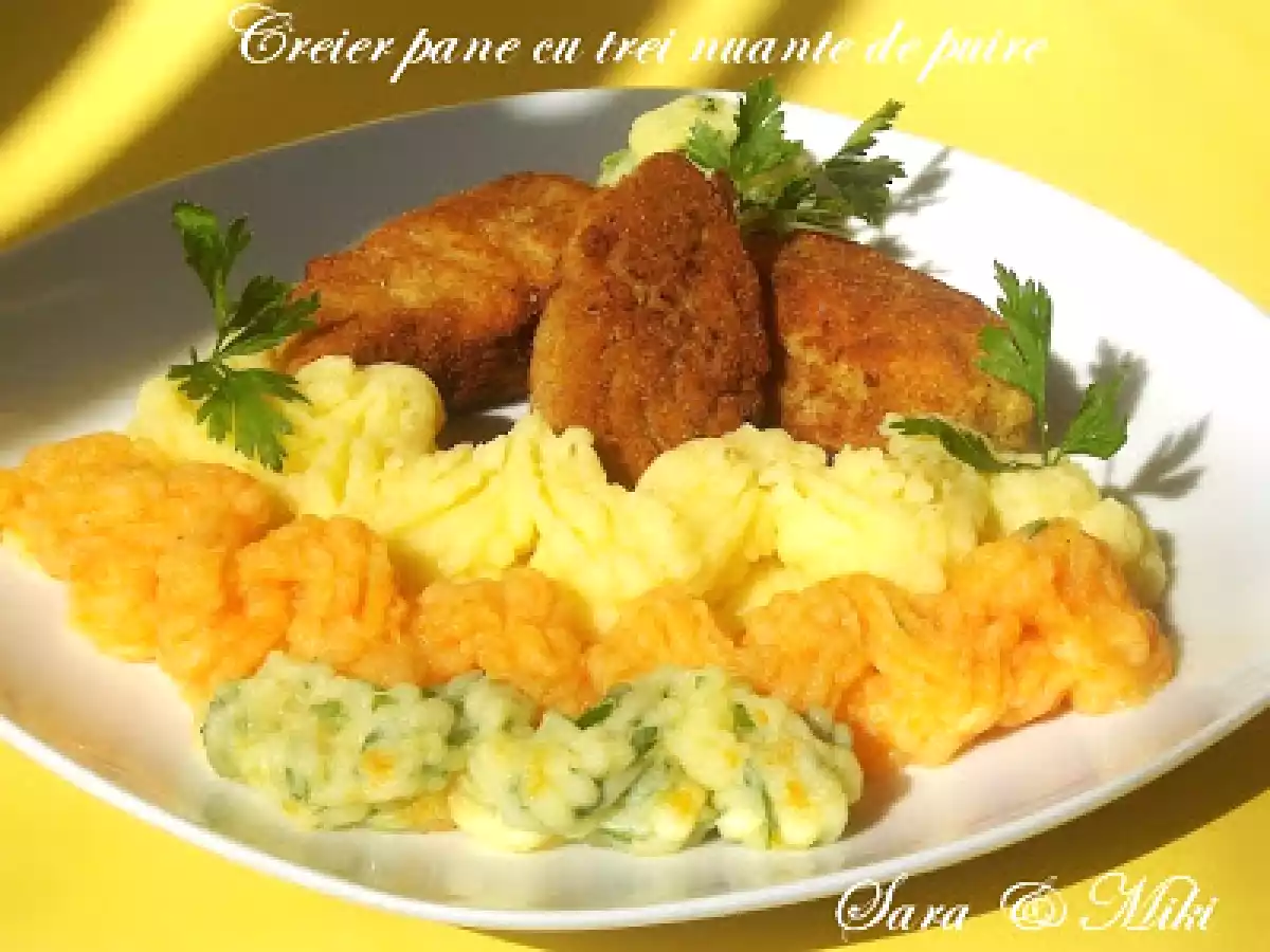 Creier pane cu trei nuante de piure - poza 2