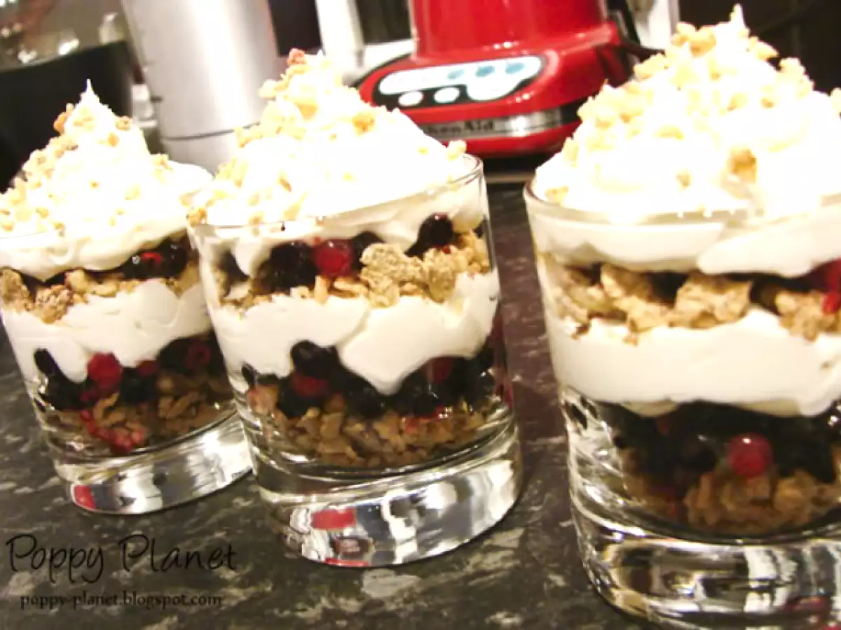 Crema de iaurt cu fructe de padure - poza 10