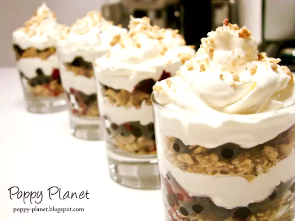 Crema de iaurt cu fructe de padure - poza 11