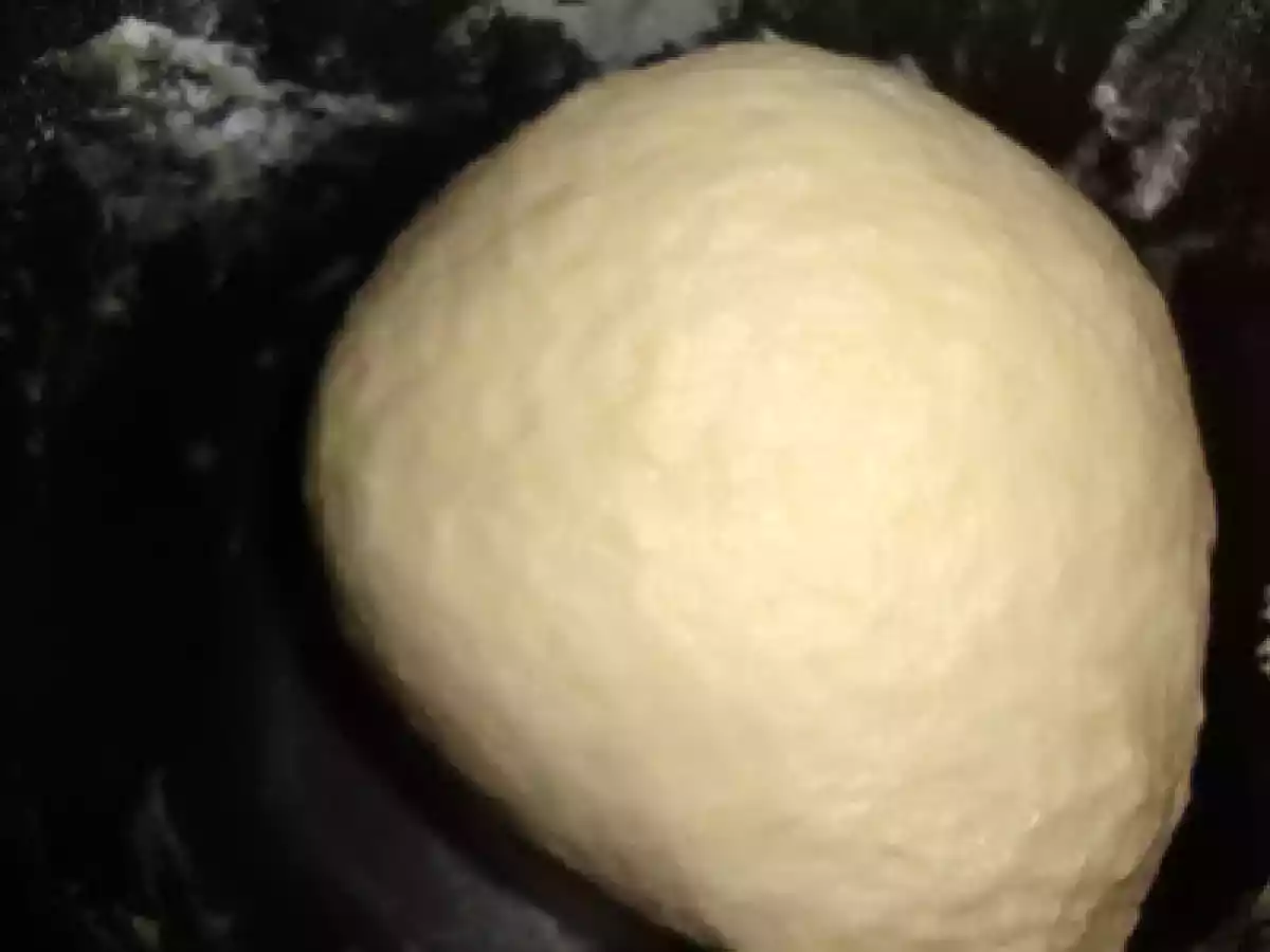 Cuib de viespi - poza 3