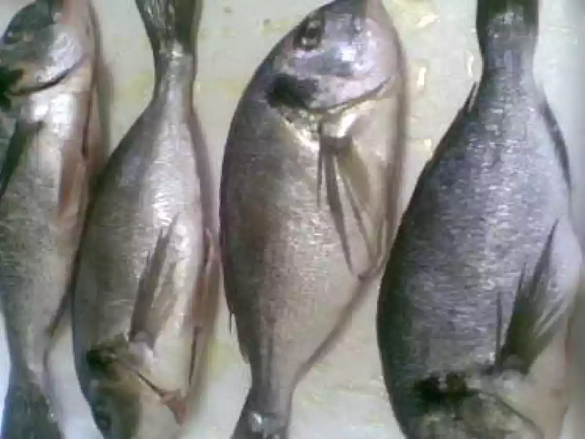 DORADA LA CUPTOR CU LEGUME - poza 3