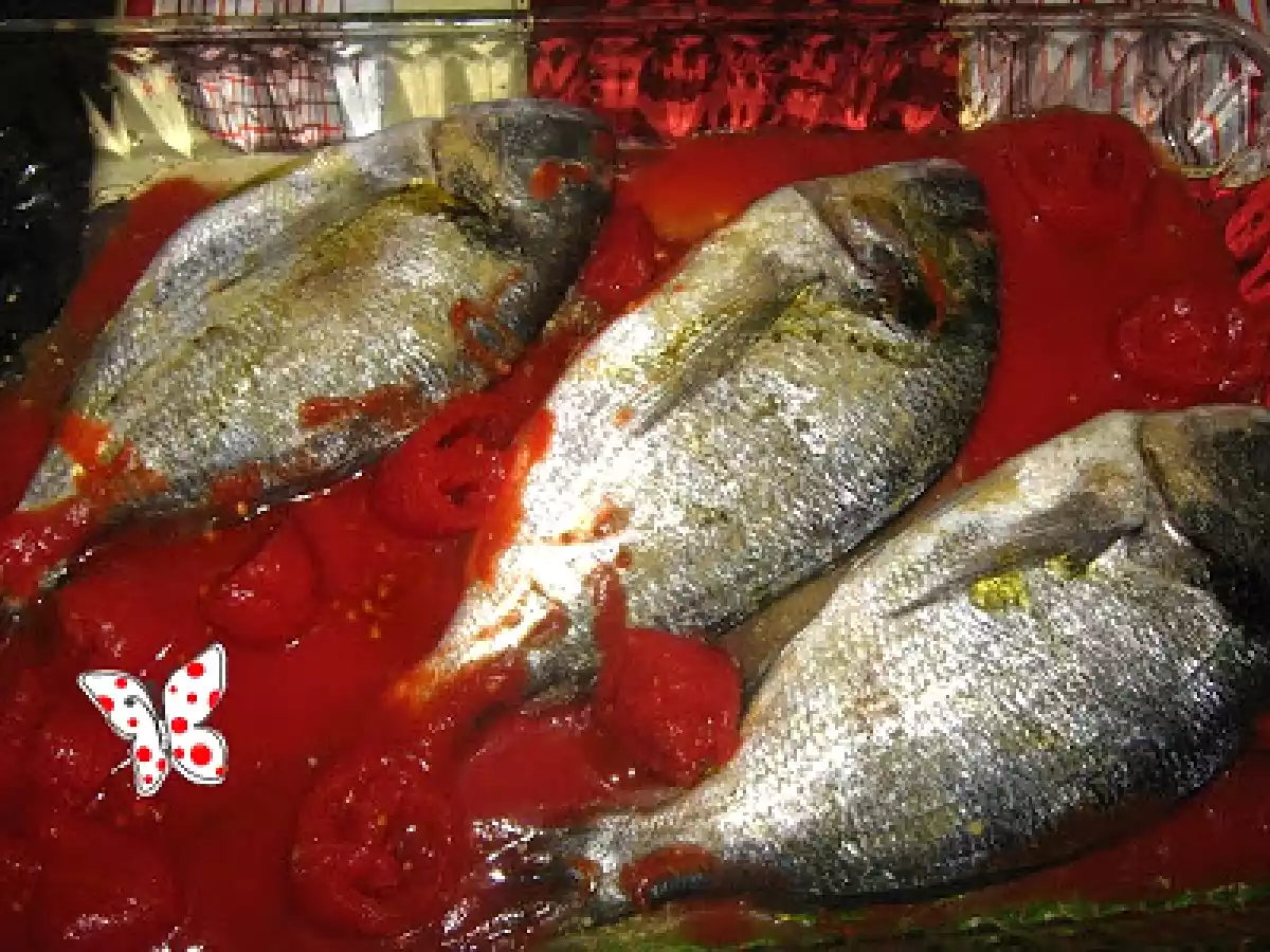 Dorada regala in sos tomat cu masline si ciuperci - poza 2