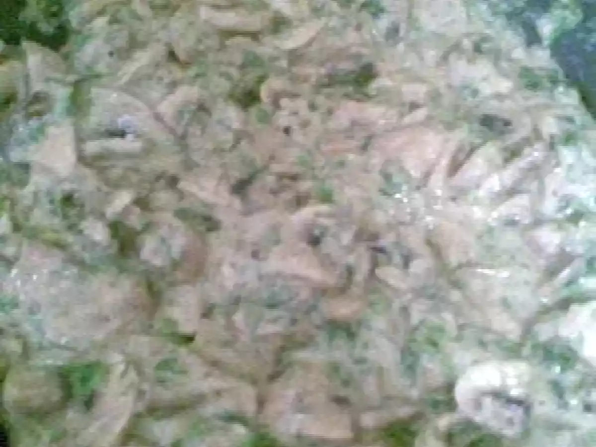 DROB DE CIUPERCI - poza 4