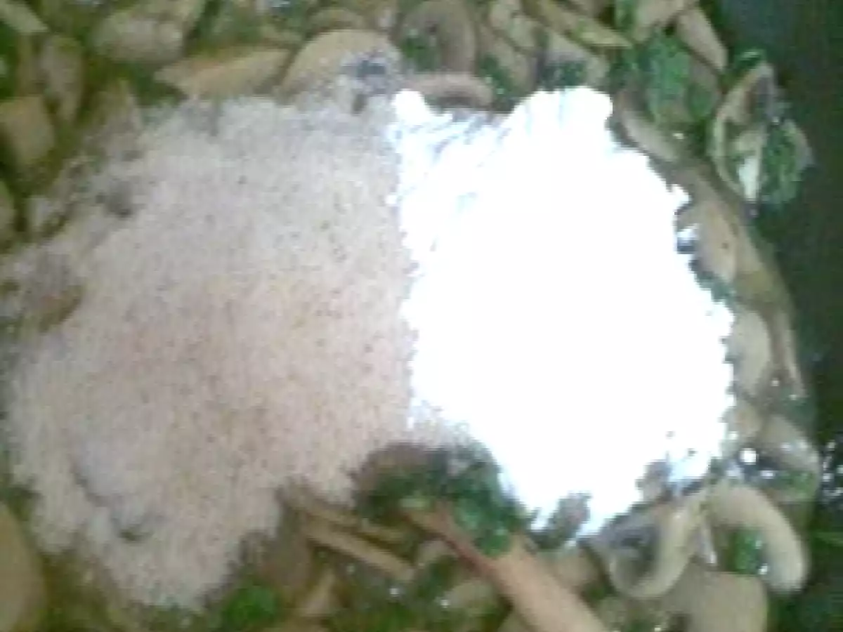 DROB DE CIUPERCI - poza 5