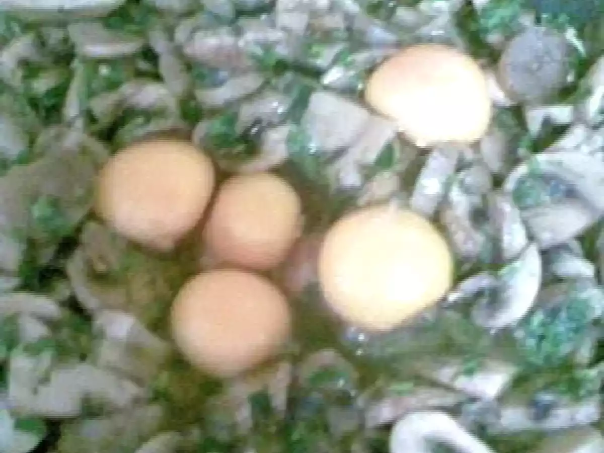 DROB DE CIUPERCI - poza 6