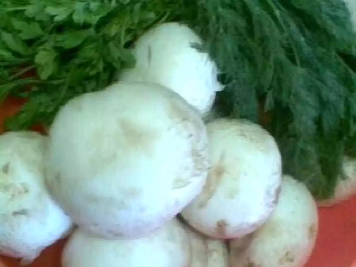 DROB DE CIUPERCI - poza 10