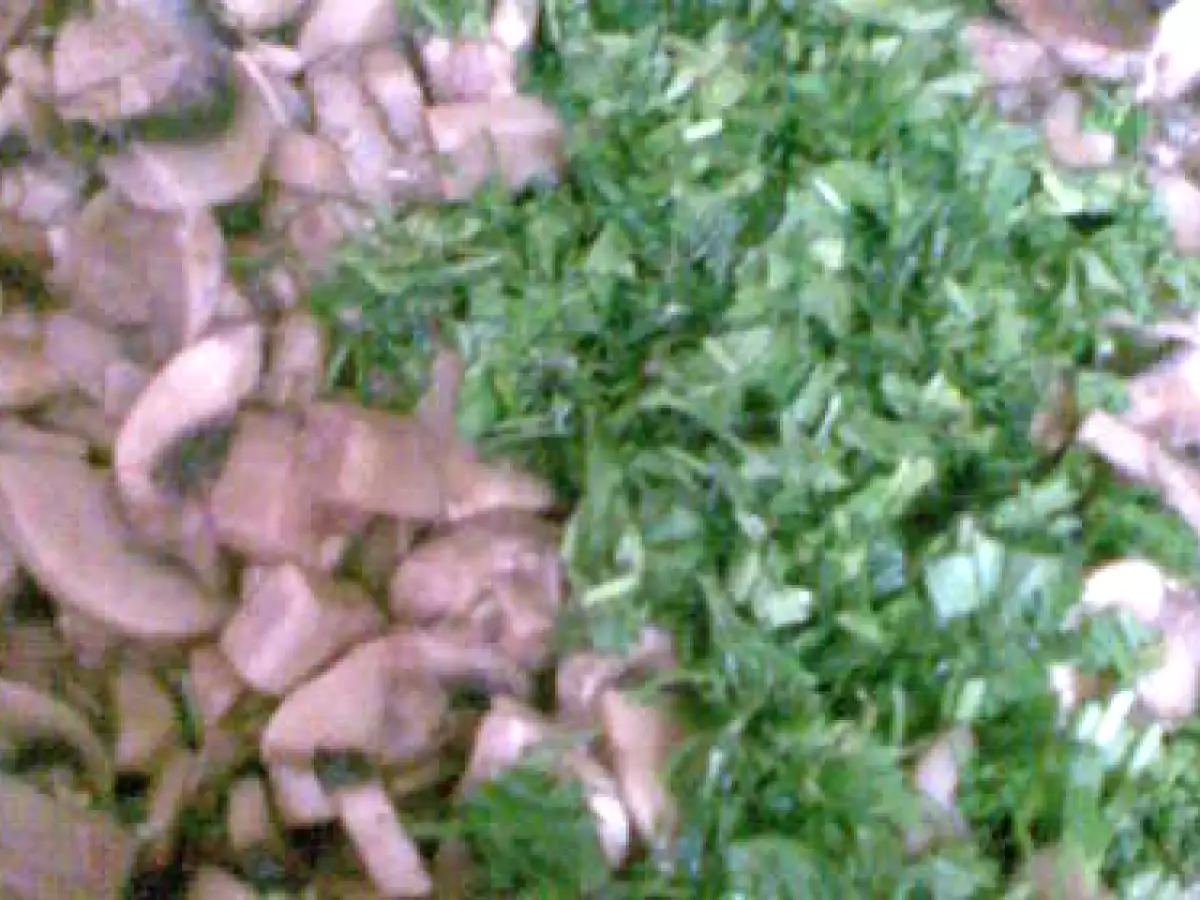 DROB DE CIUPERCI - poza 2