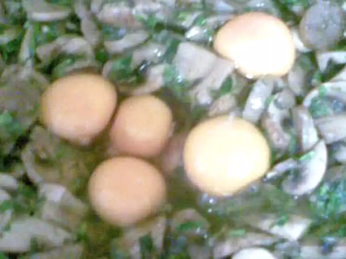 DROB DE CIUPERCI - poza 3