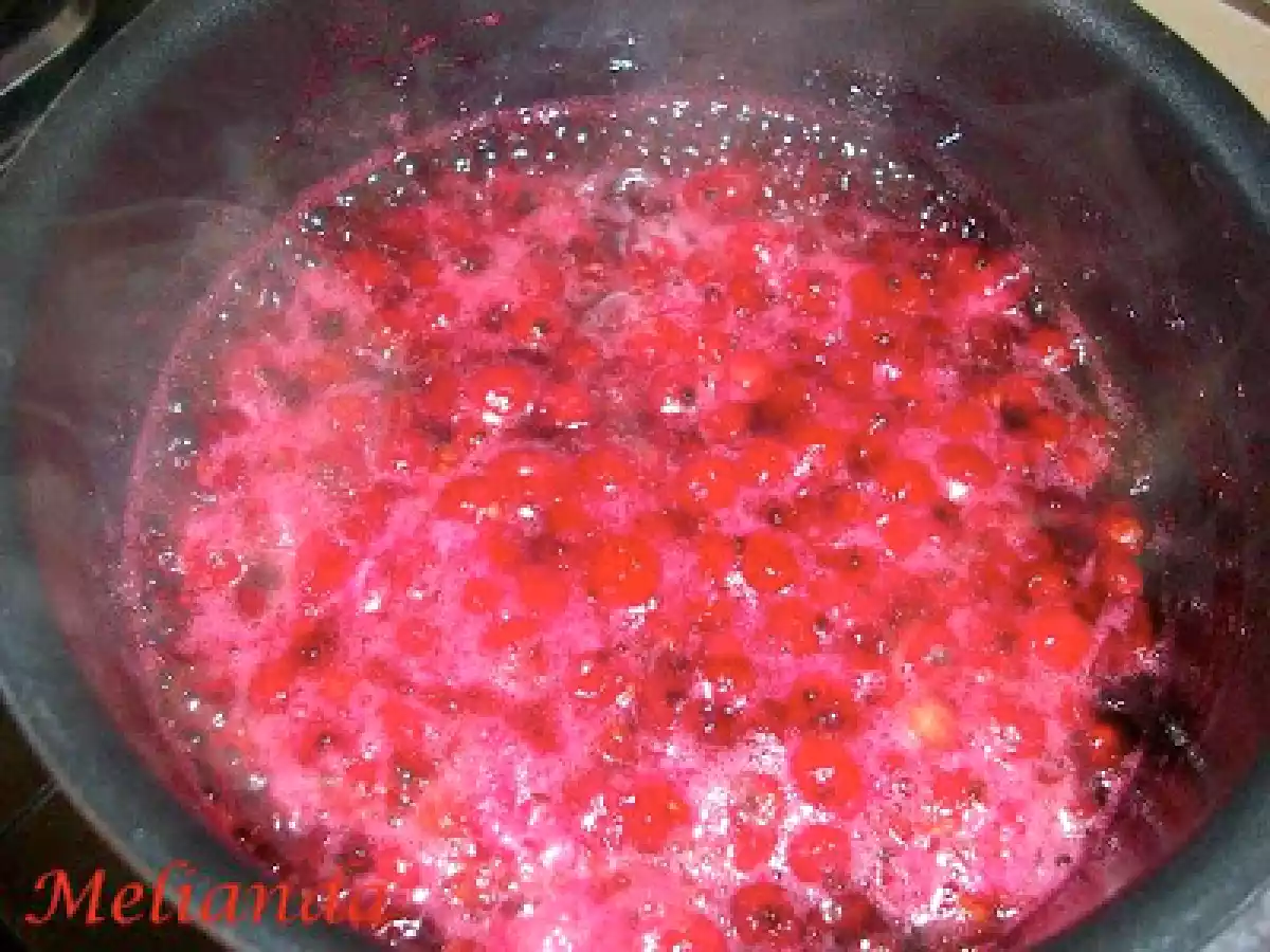 Dulceata de agrise rosii - poza 4