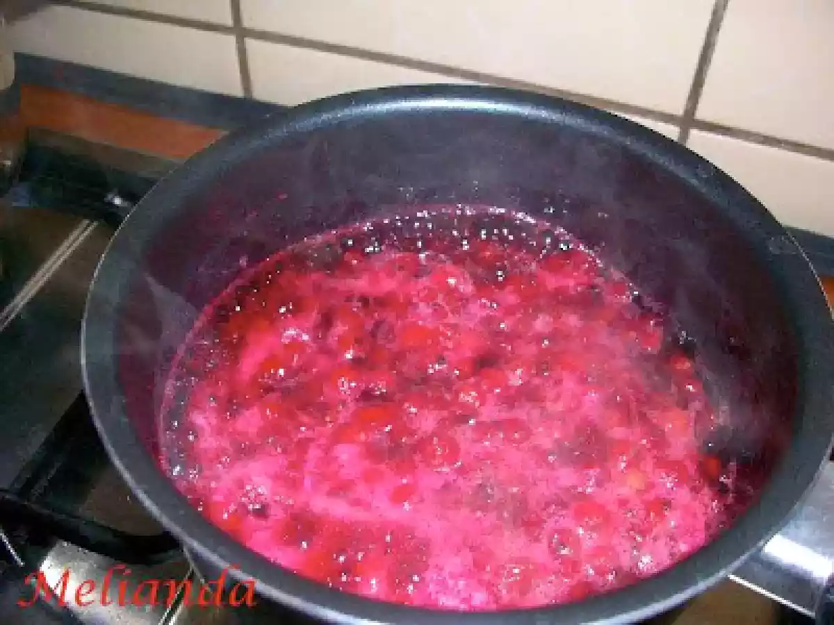 Dulceata de agrise rosii - poza 5