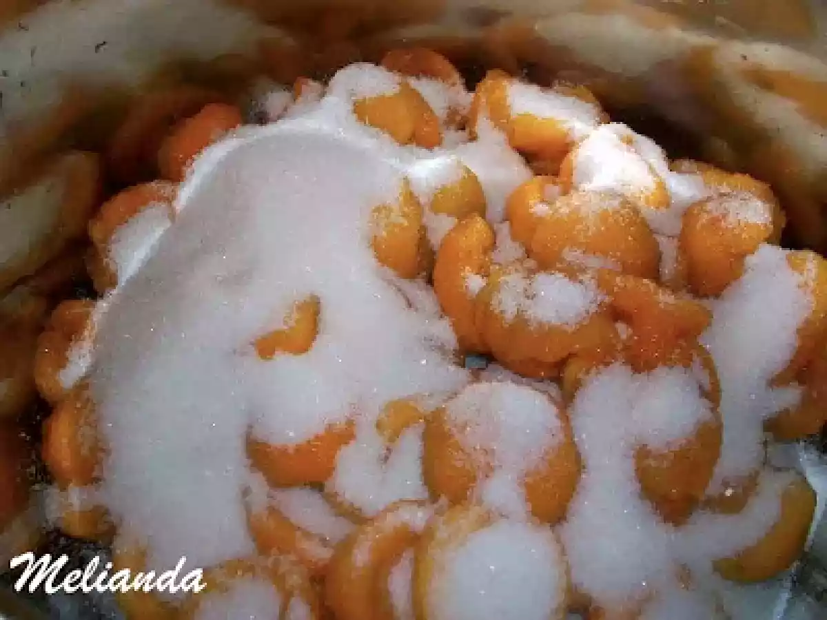 Dulceata de caise - poza 3