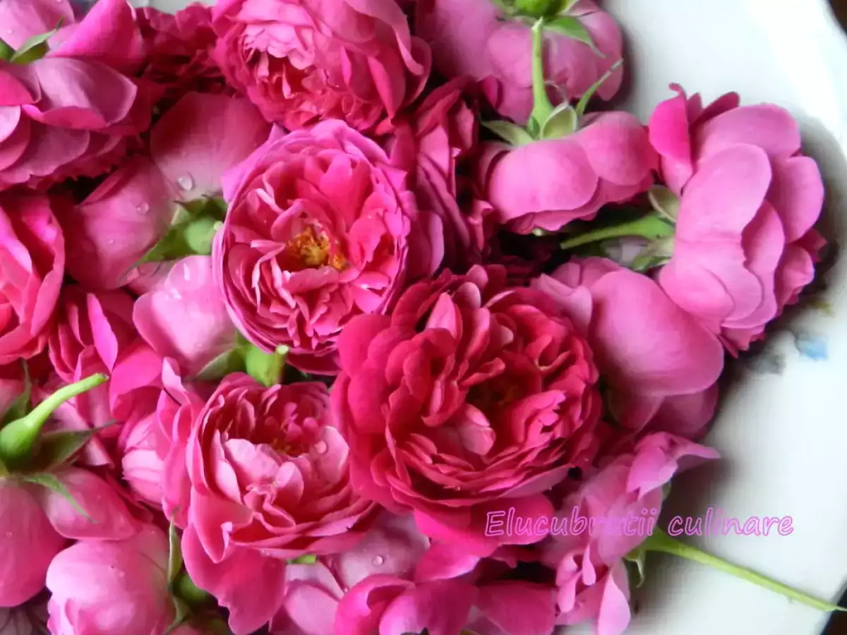 Dulceață de trandafiri - poza 2