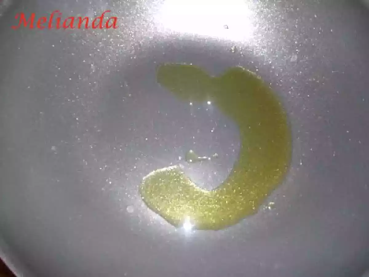 Escalop Zingara - poza 9