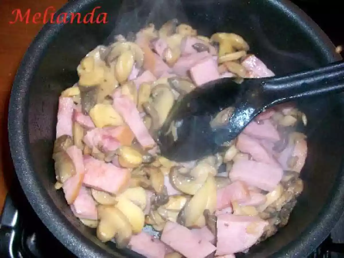 Escalop Zingara - poza 13