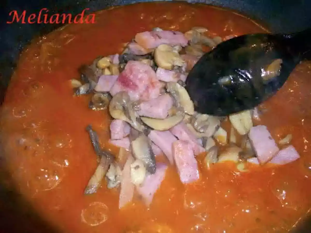 Escalop Zingara - poza 14