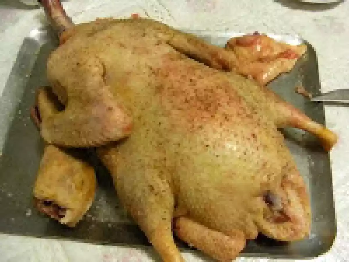 Friptura de rata cu portocale