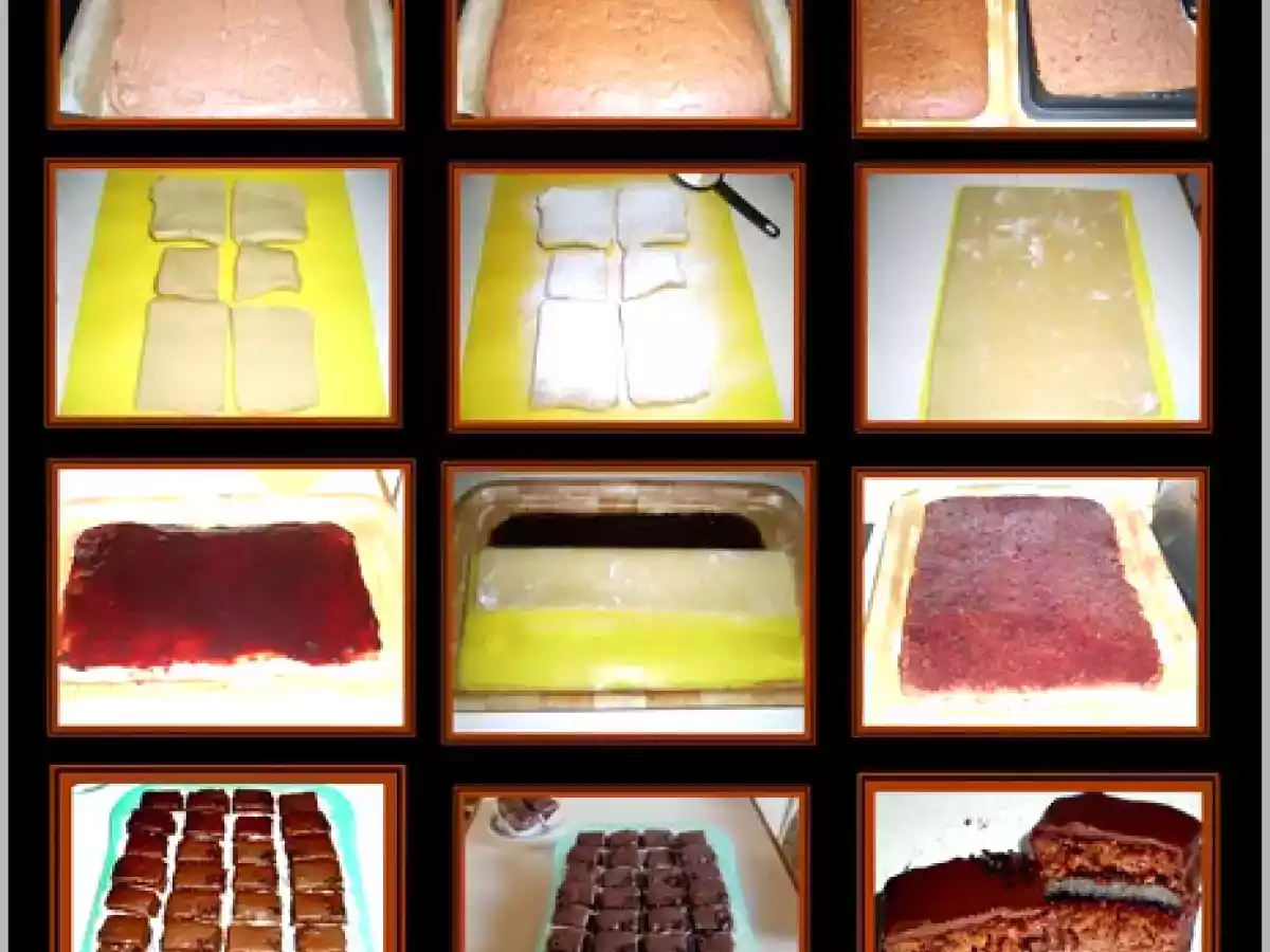 FURSECURI ?DOMINO? ®Laura S.