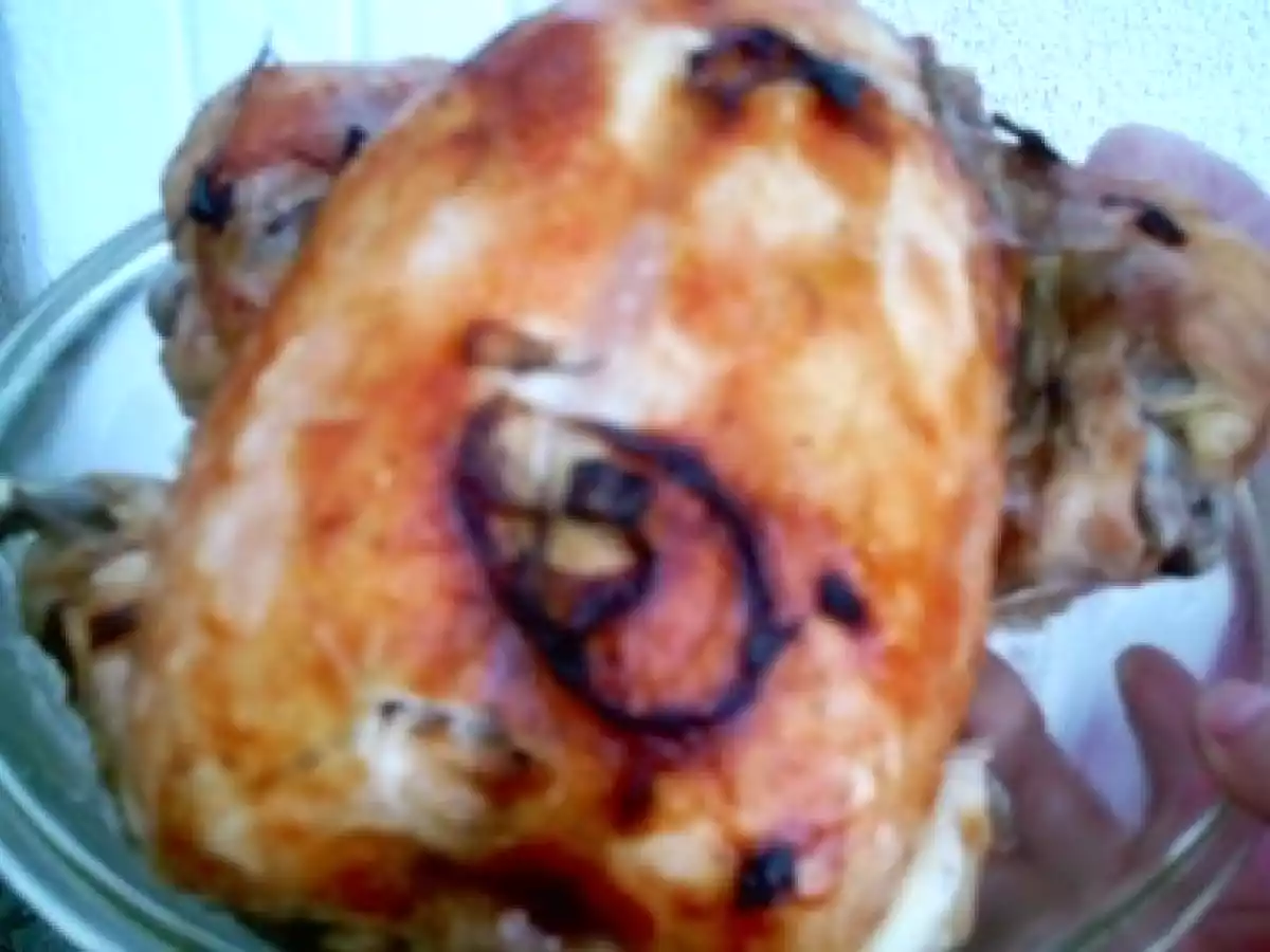 Gaina umpluta - poza 2