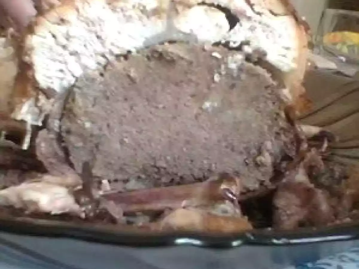 Gaina umpluta - poza 3