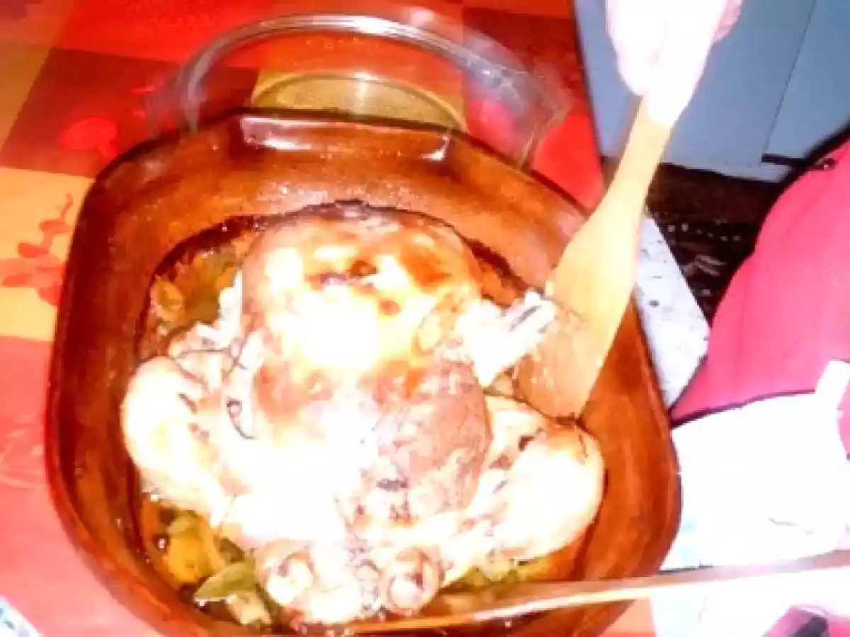 Gaina umpluta - poza 4