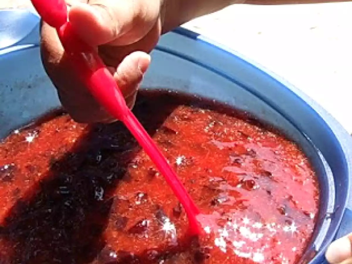 Gem de corcoduse, cu mere si morcovi - poza 4