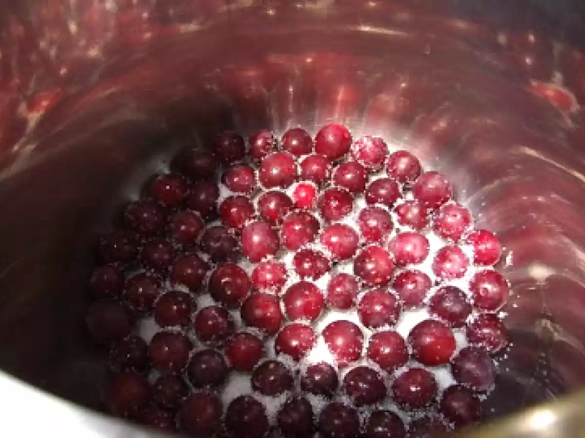 Gem de corcoduse rosii - poza 5