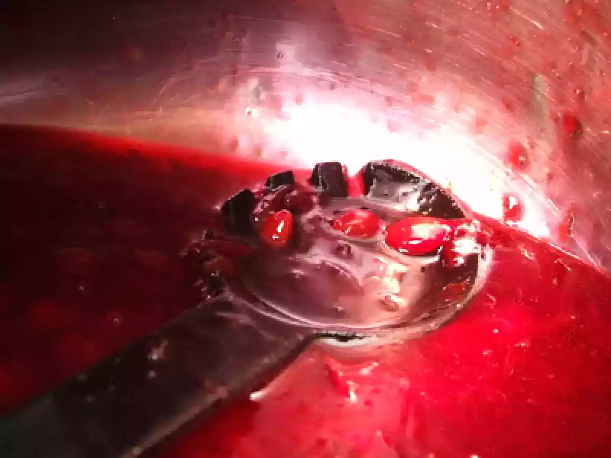 Gem de corcoduse rosii - poza 6